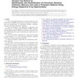 ASTM F2617-08e1