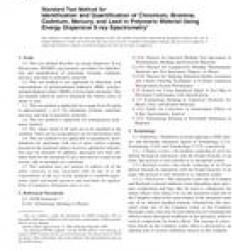 ASTM F2617-08