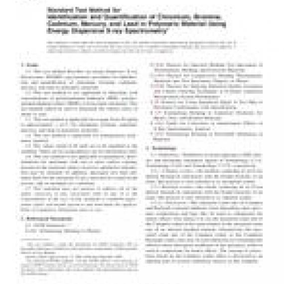 ASTM F2617-08