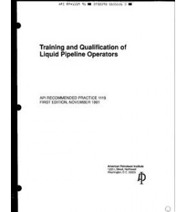 API RP 1119