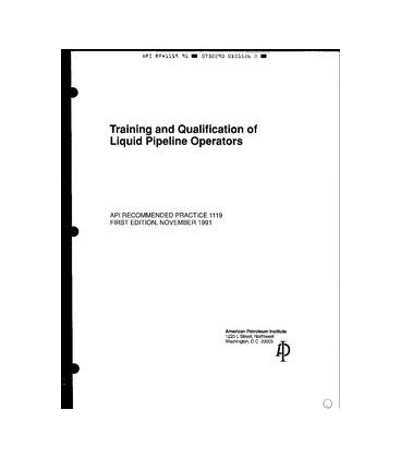 API RP 1119