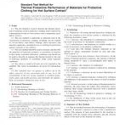 ASTM F1060-08
