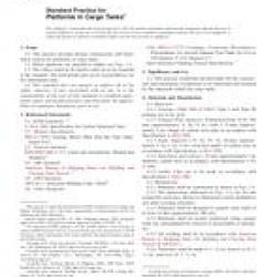ASTM F1385-07