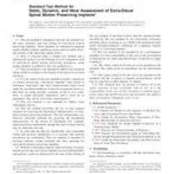 ASTM F2624-07
