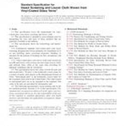ASTM D3656-07